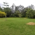 Vacant rental houses in Karen 1 acre plot for sale in Karen.